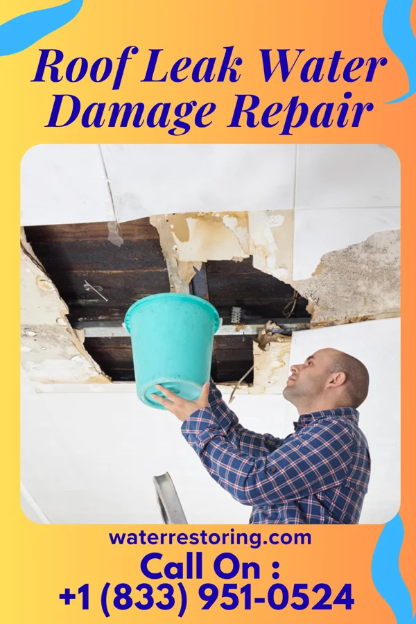 Roof Leak Water Damage Repair in Carlos, MD