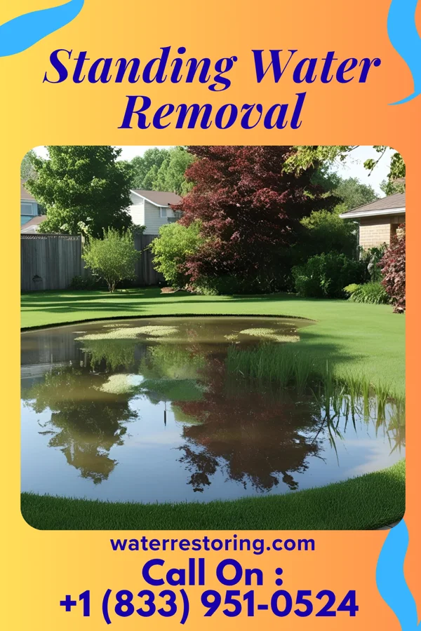Standing Water Removal in Carlos, MD